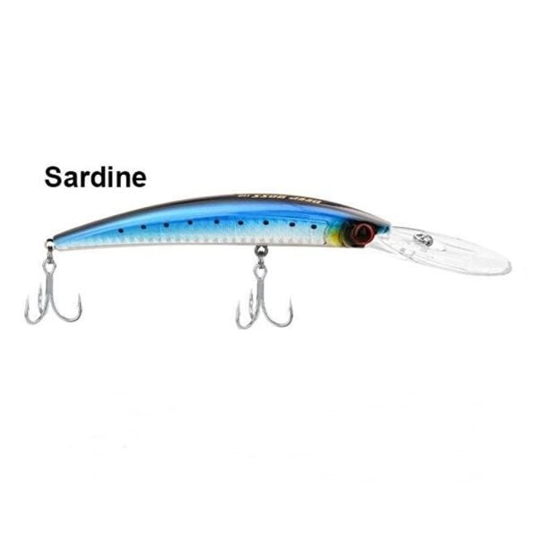 SARDİNE