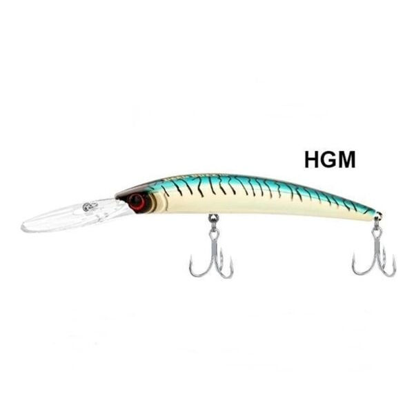 HGM