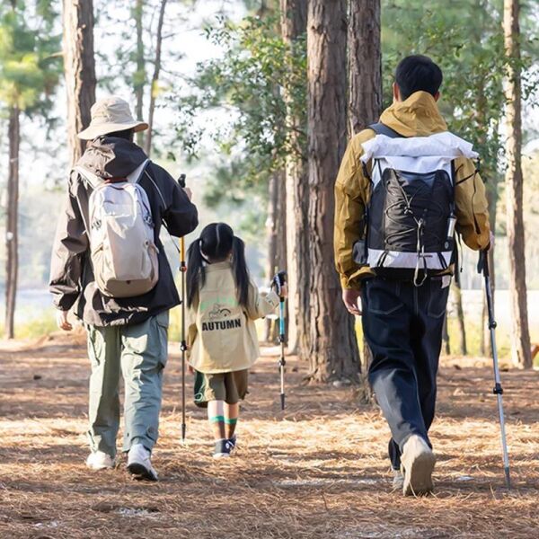 Naturehike ST01 3-Node 6061 AL Teleskopik Trekking Batonu | 62-135 cm | GOLD