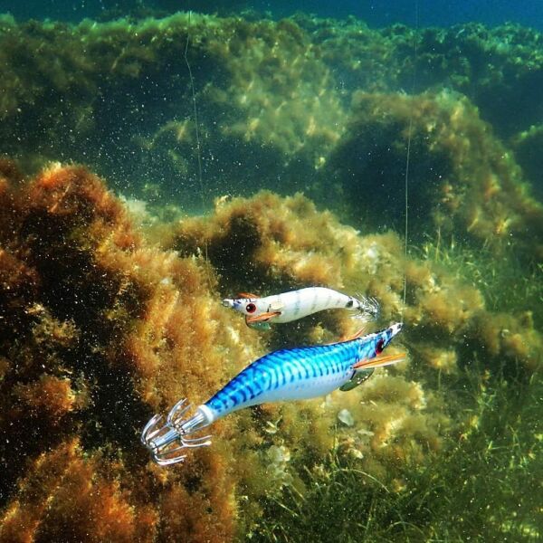 DTD Real Fish Oita 3.5 Egi Tip Run Glow 105 mm 17.5 gr Kalamar Zokası Pagro