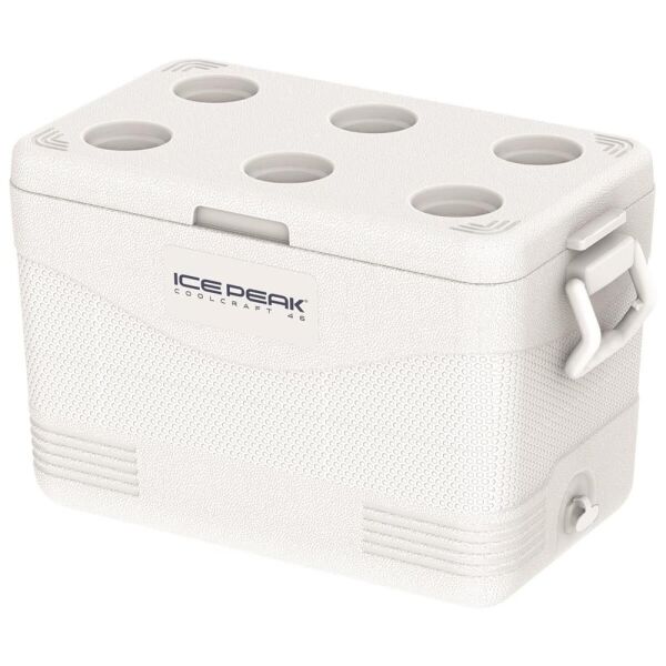 IcePeak CoolCraft 46 Buzluk 41.6 Litre