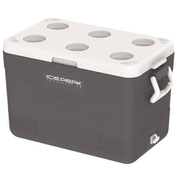IcePeak CoolCraft 46 Buzluk 41.6 Litre