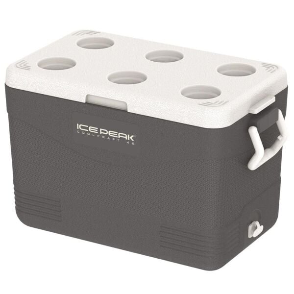 IcePeak CoolCraft 46 Buzluk 41.6 Litre Füme