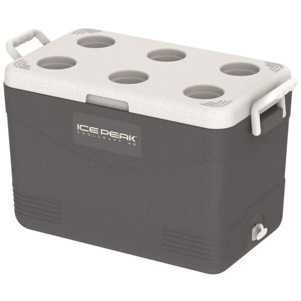 IcePeak CoolCraft 46 Buzluk 41.6 Litre Füme