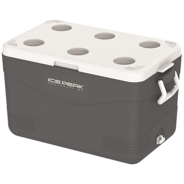 IcePeak CoolCraft 60 Buzluk 56.4 Litre Füme