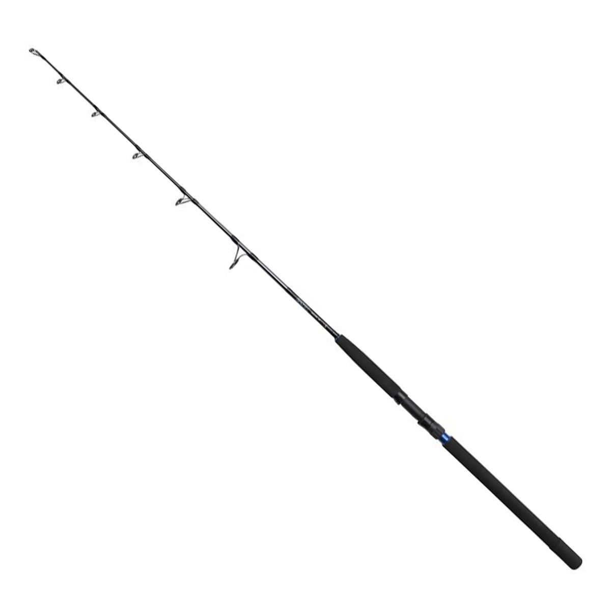 Dam Salt-X Jigging 163cm 150-300gr Jig Olta Kamışı