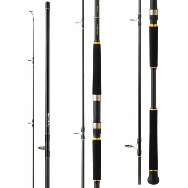 Daiwa Legalis Shore Jigging 290cm 28-84gr 2 Parça Olta Kamışı