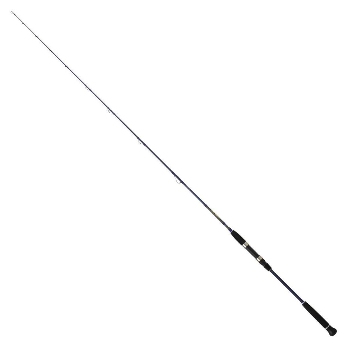 Daiwa Exceler Oceano 190cm 60-120gr Jig Olta Kamışı