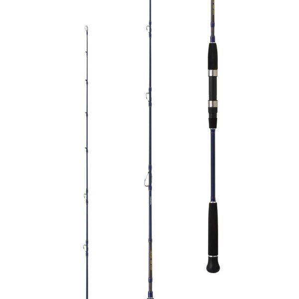 Daiwa Exceler Oceano 190cm 60-120gr Jig Olta Kamışı