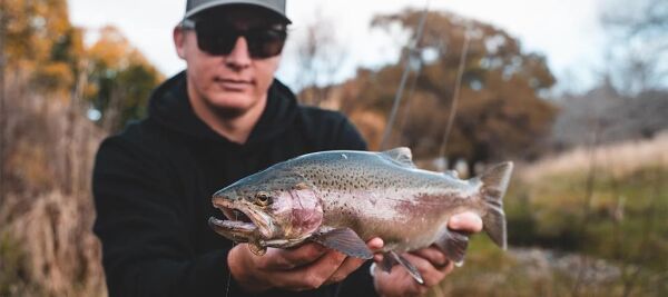 Daiwa Bait Junkie Grub Soft Bait Floating Silikon Yem Rainbow Trout - 6,35 CM