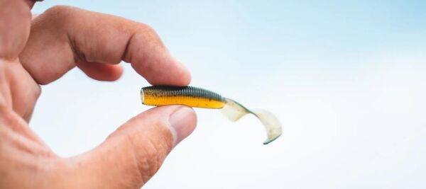 Daiwa Bait Junkie Grub Soft Bait Floating Silikon Yem Bloodworm UV - 6,35 CM