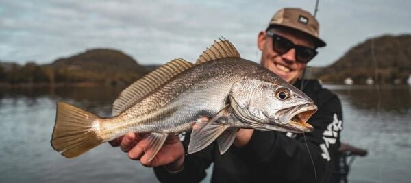 Daiwa Bait Junkie Prawn Soft Bait Silikon Karides Yem