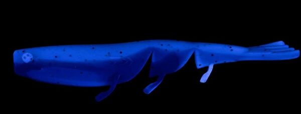 Daiwa Bait Junkie Prawn Soft Bait Silikon Karides Yem Camo UV - 7,6 CM