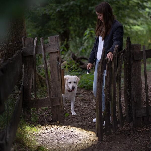 Ledlenser C5R Classic El Feneri