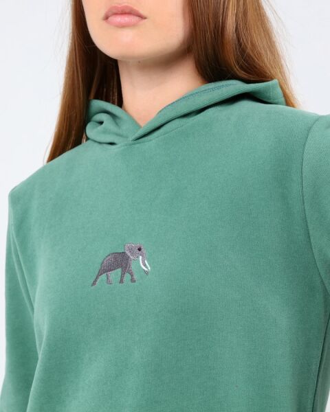 North Trace Crewline Kapüşonlu Kadın Hoodie Mint Yeşil - S