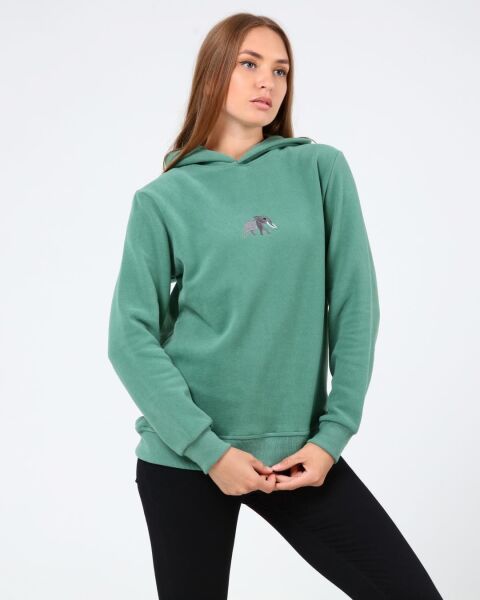 North Trace Crewline Kapüşonlu Kadın Hoodie Mint Yeşil - S