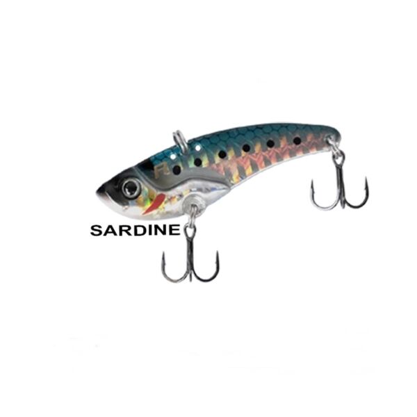 SARDİNE