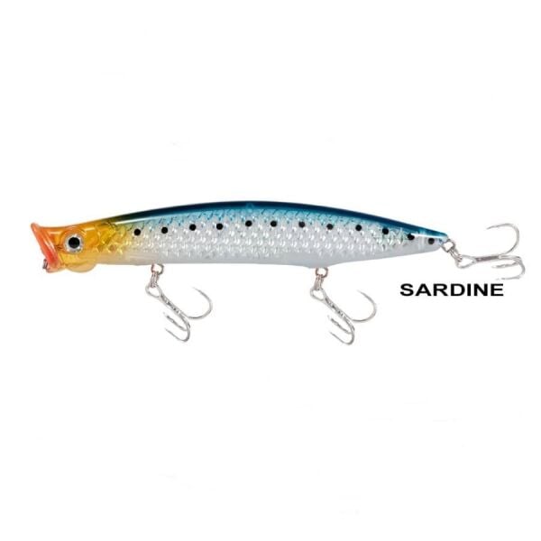 SARDİNE