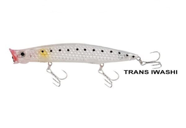 TRANS IWASHI