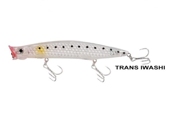 TRANS IWASHI