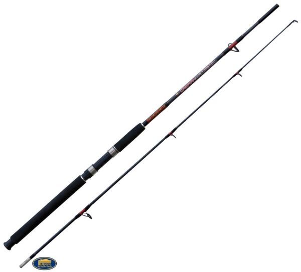 Lineaeffe Caspian Carbo Fiber 165Cm 100-250Gr Tekne Kamışı
