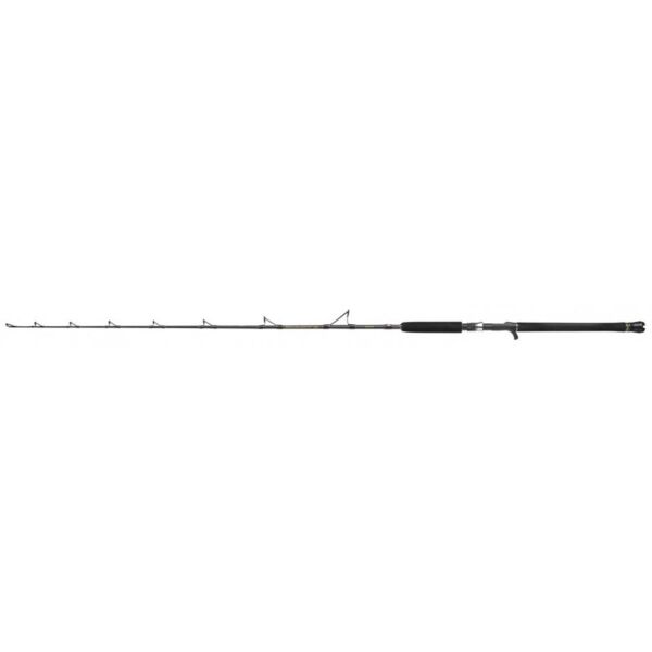 Penn Regiment III Jig Casting Olta Kamışı