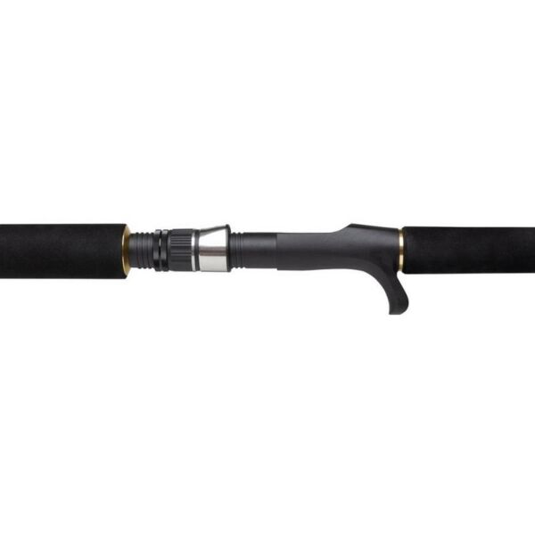 Penn Regiment III Jig Casting Olta Kamışı