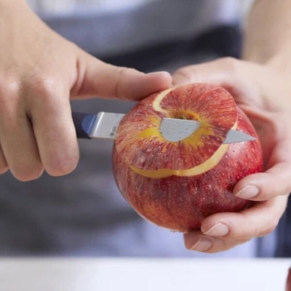 Opinel Essentiels Soyma Bıçağı MAVİ