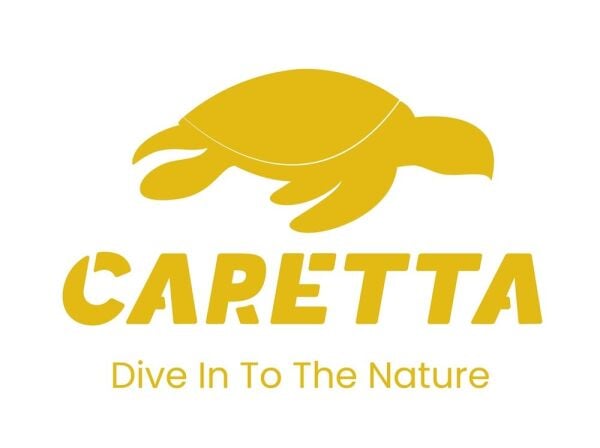 Caretta Force Jig Head ART ( Mafsallı )