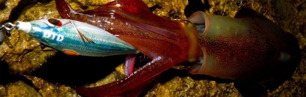 DTD Real Fish Bukva 3.0 Glow 80 mm 13 gr Kalamar Zokası MACKEREL