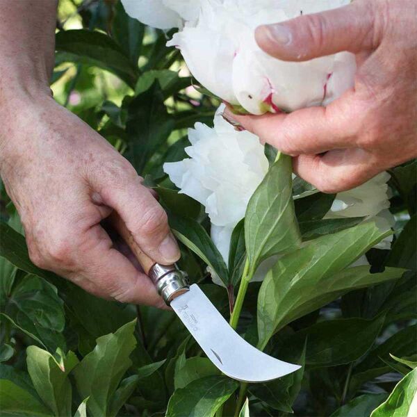 Opinel Inox No 8 Kayın Saplı Paslanmaz Çelik Bag Çakısı