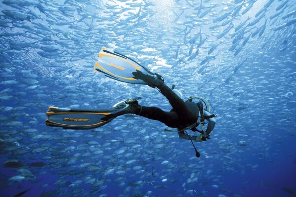 Cressi Reaction Dalış Paleti