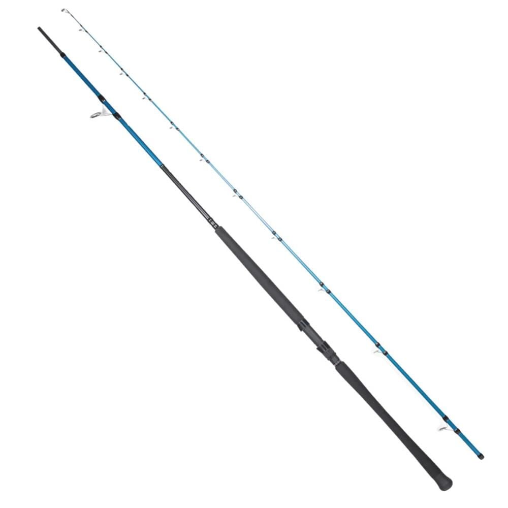 Ryuji Shore Game Fuji KW 310cm 60-150gr 2 Parça Shore Jig Kamış