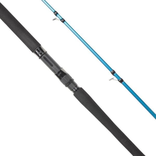 Ryuji Shore Game Fuji KW 310cm 60-150gr 2 Parça Shore Jig Kamış