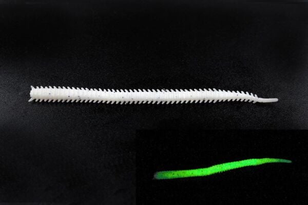 Fujin Mad Worm 9cm LRF Silikonu