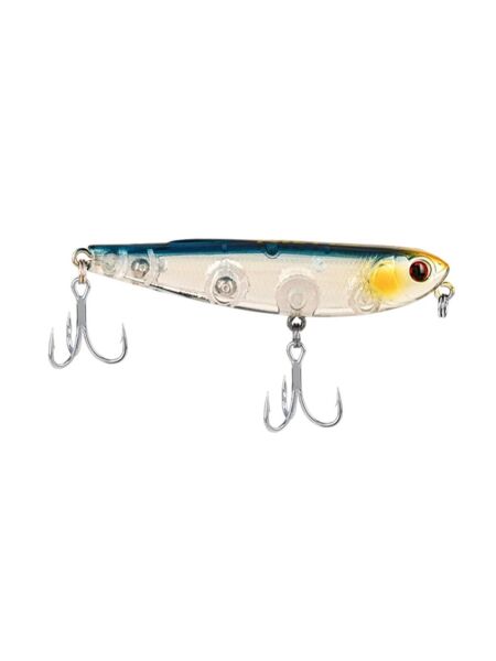 Yellow Face Sardine