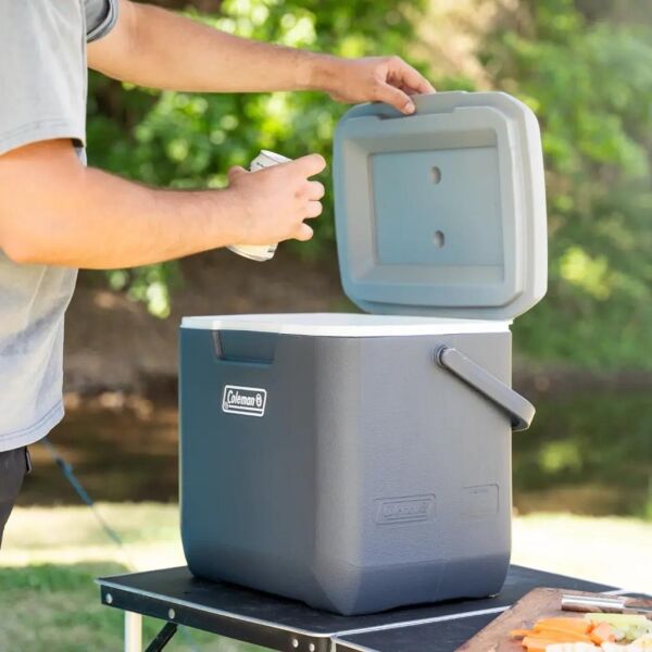 Coleman Daintree Personal Hard Cooler Soğutucu Buzluk 28 Lt Grey