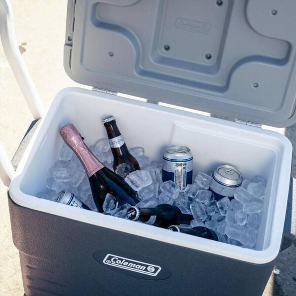 Coleman Daintree Personal Wheeled Hard Cooler Tekerlekli Soğutucu Buzluk 38 Lt Grey