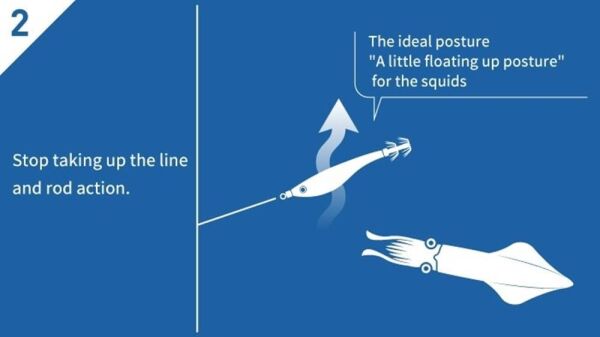 Yamashita Upper 95 mm Kalamar Zokası AY