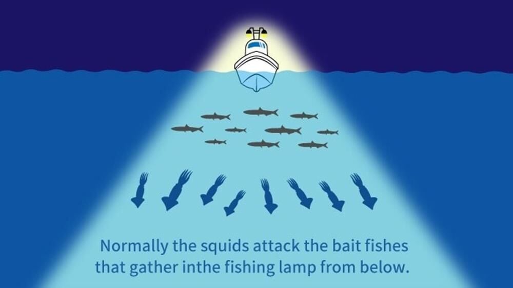 Yamashita Upper 95 mm Kalamar Zokası RW Glow