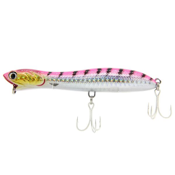 Pink Barracuda