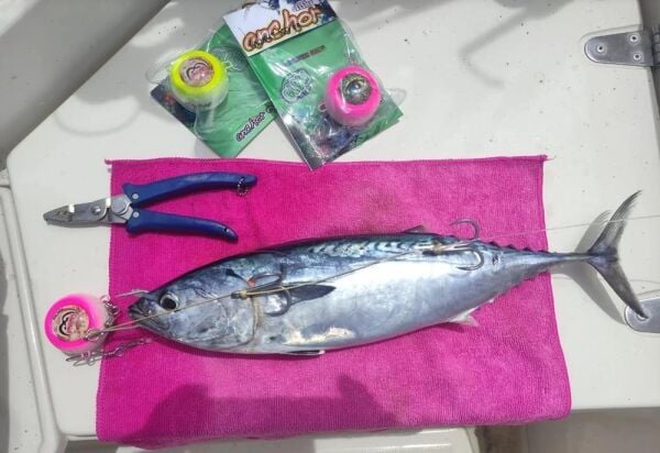 Anchor Melek Gözü [ Glowlu ] PEMBE - 100 Gr