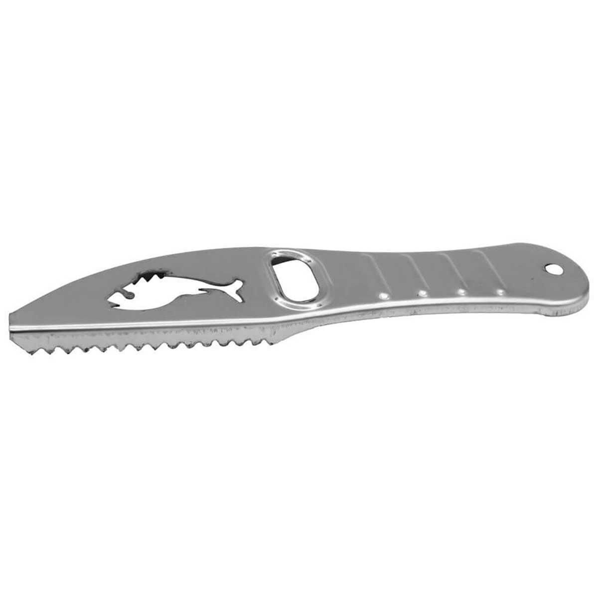 Albastar Paslanmaz Inox Krom Balık Pulu Temizleyici