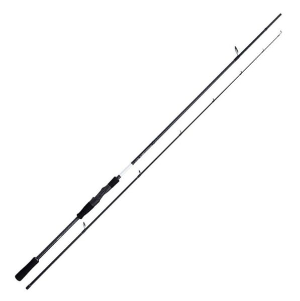 Shimano Bassterra XT+ Sea Bass 244cm 5-28gr Spin Olta Kamışı