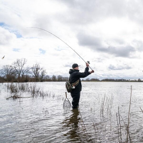 Shimano Nasci FC C3000 Olta Makinesi