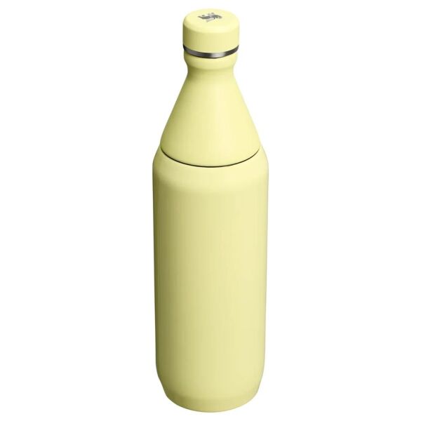 Stanley The All Day Slim Su Şişesi 0.6 Lt Pomelo