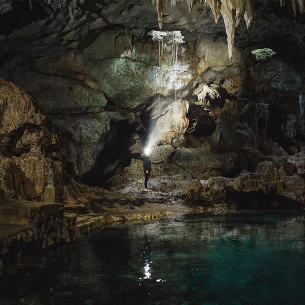 Ledlenser HF8R Signature Kafa Lambası