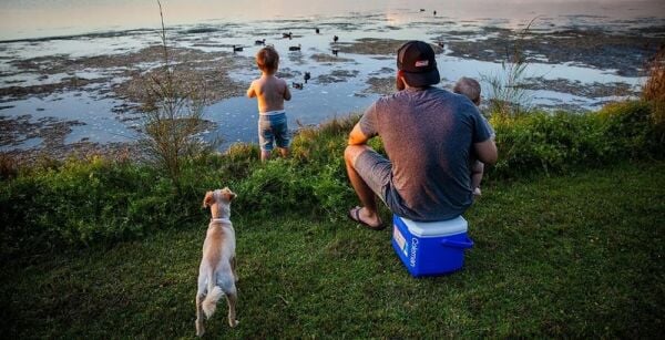 Coleman Performance Tri Color 16 QT Soğutucu Buzluk 15 Lt MAVİ