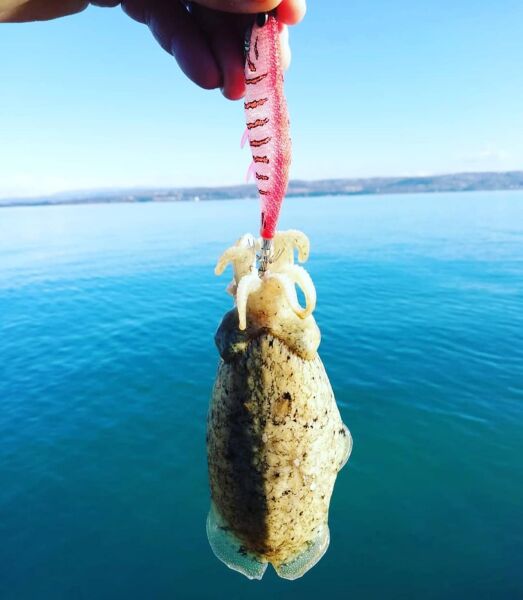 DTD Gamberino Blue Glow Natural Slow Sinking 14.3 gr 90 mm Kalamar Zokası RED