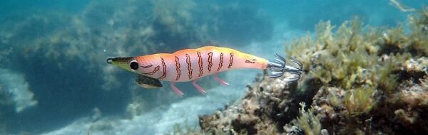 DTD Gamberino Blue Glow Natural Slow Sinking 14.3 gr 90 mm Kalamar Zokası PİNK